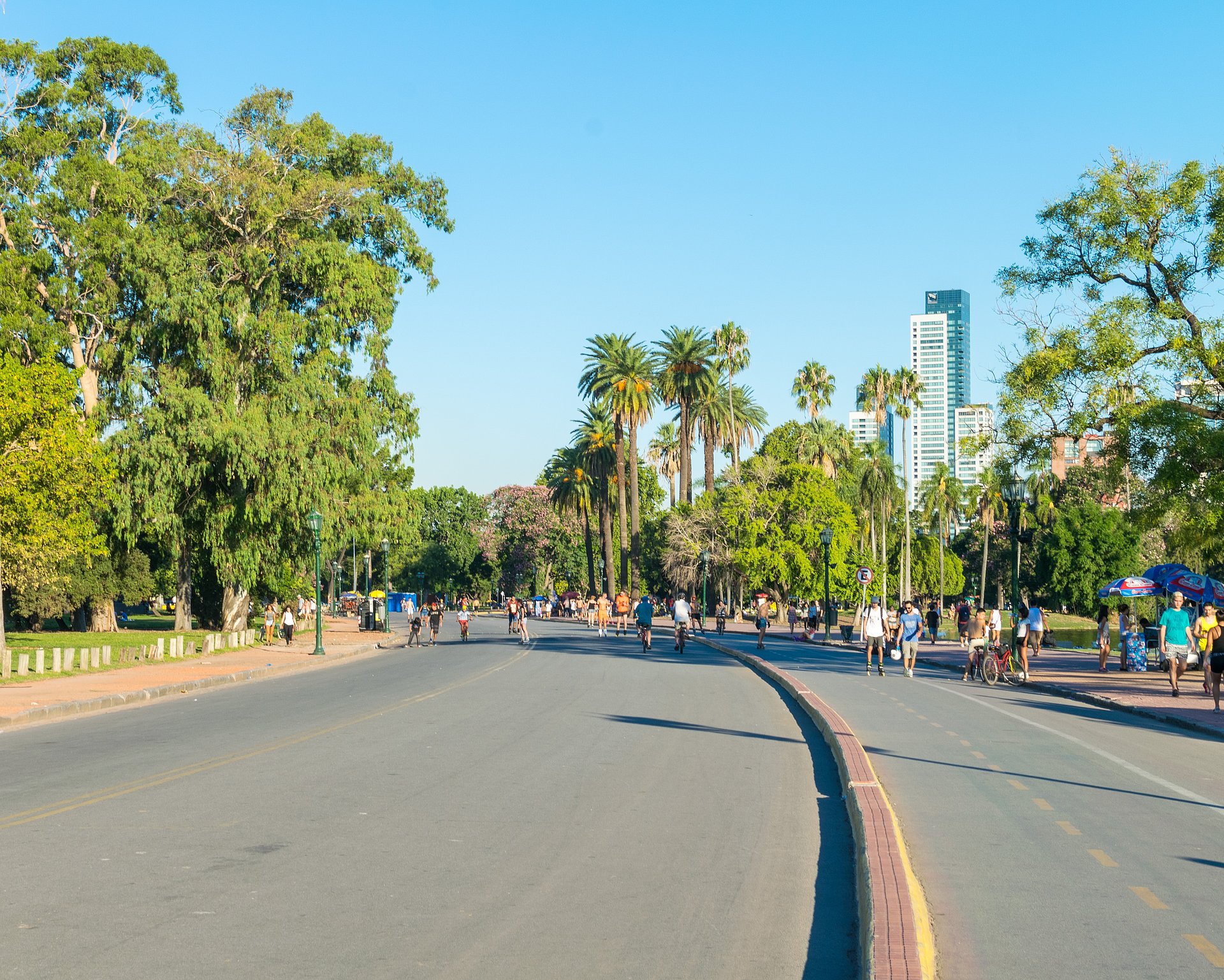 Straße, Bäume und Hochhäuser von Buenosaires beim FSJ Argentinien