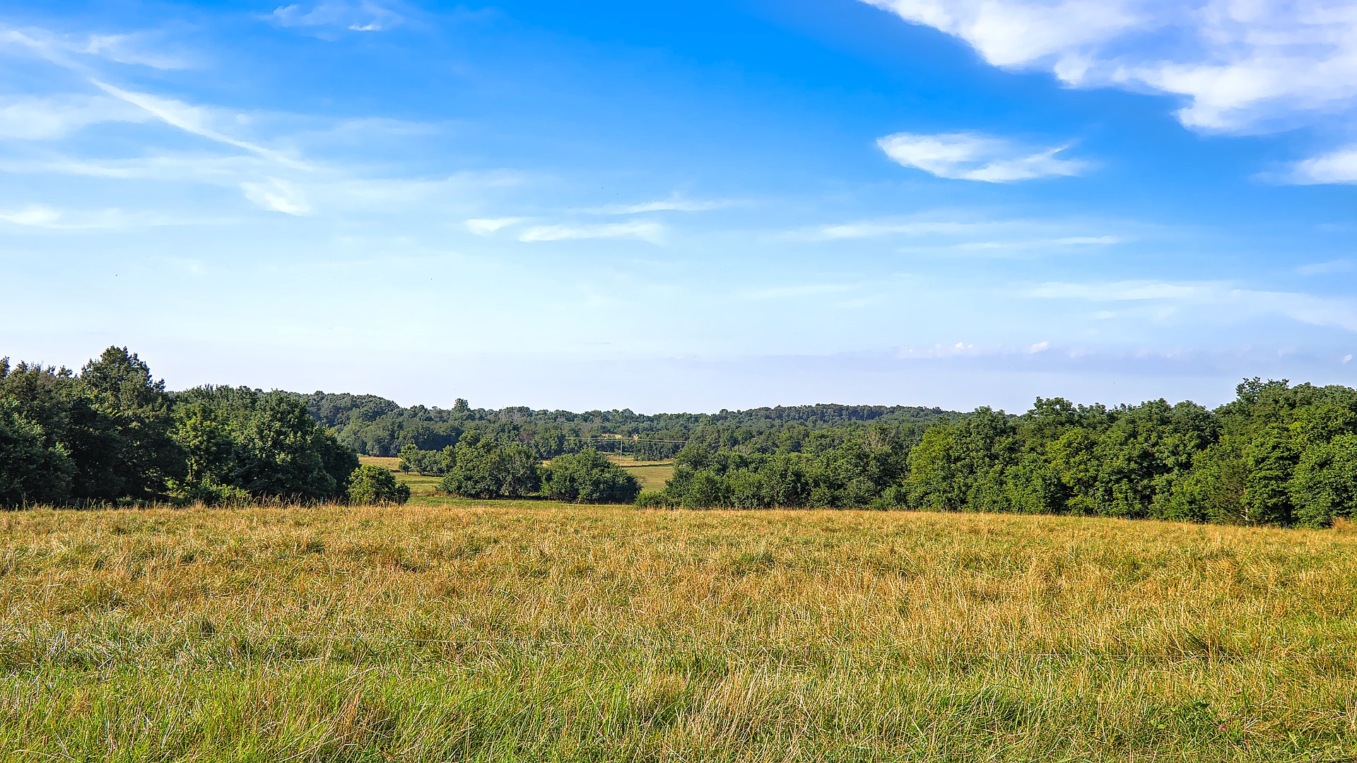 Feld und Wald beim FSJ in Baden-Württemberg
