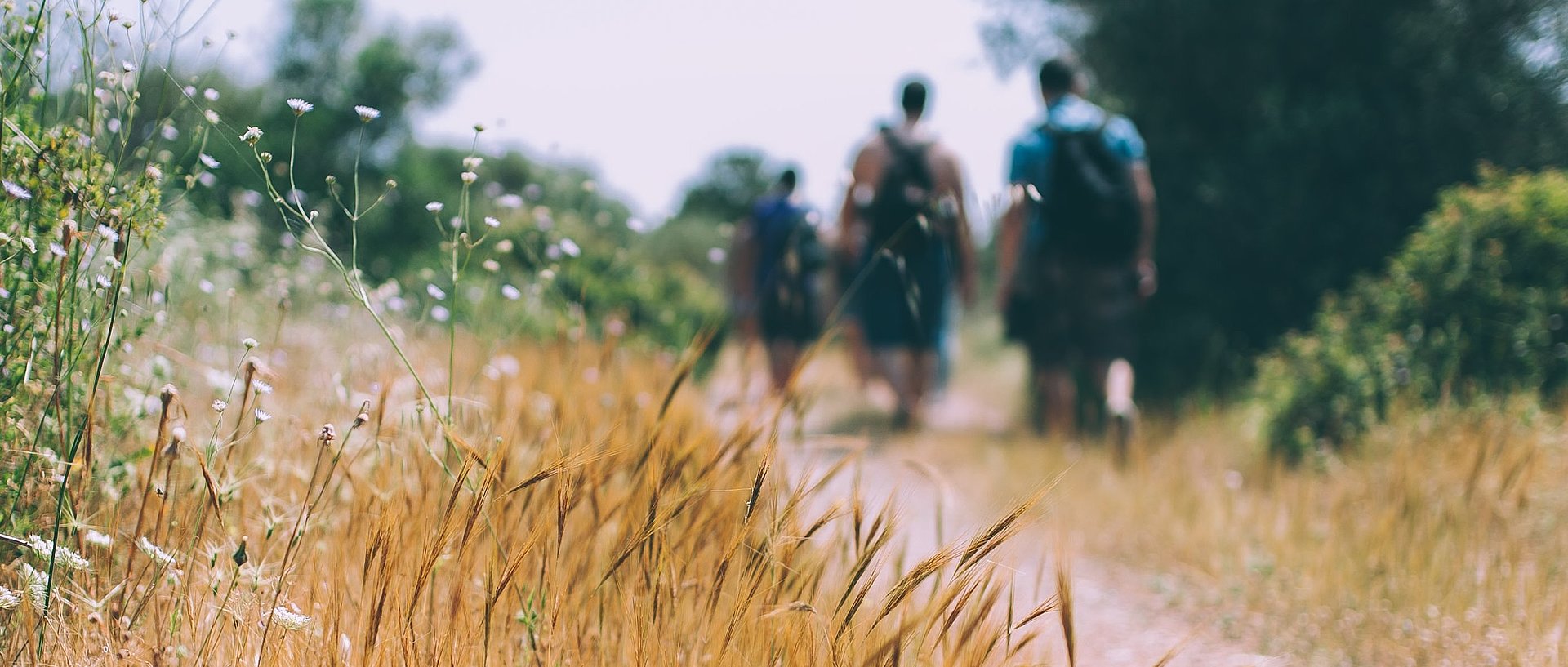 Wandern beim FSJ