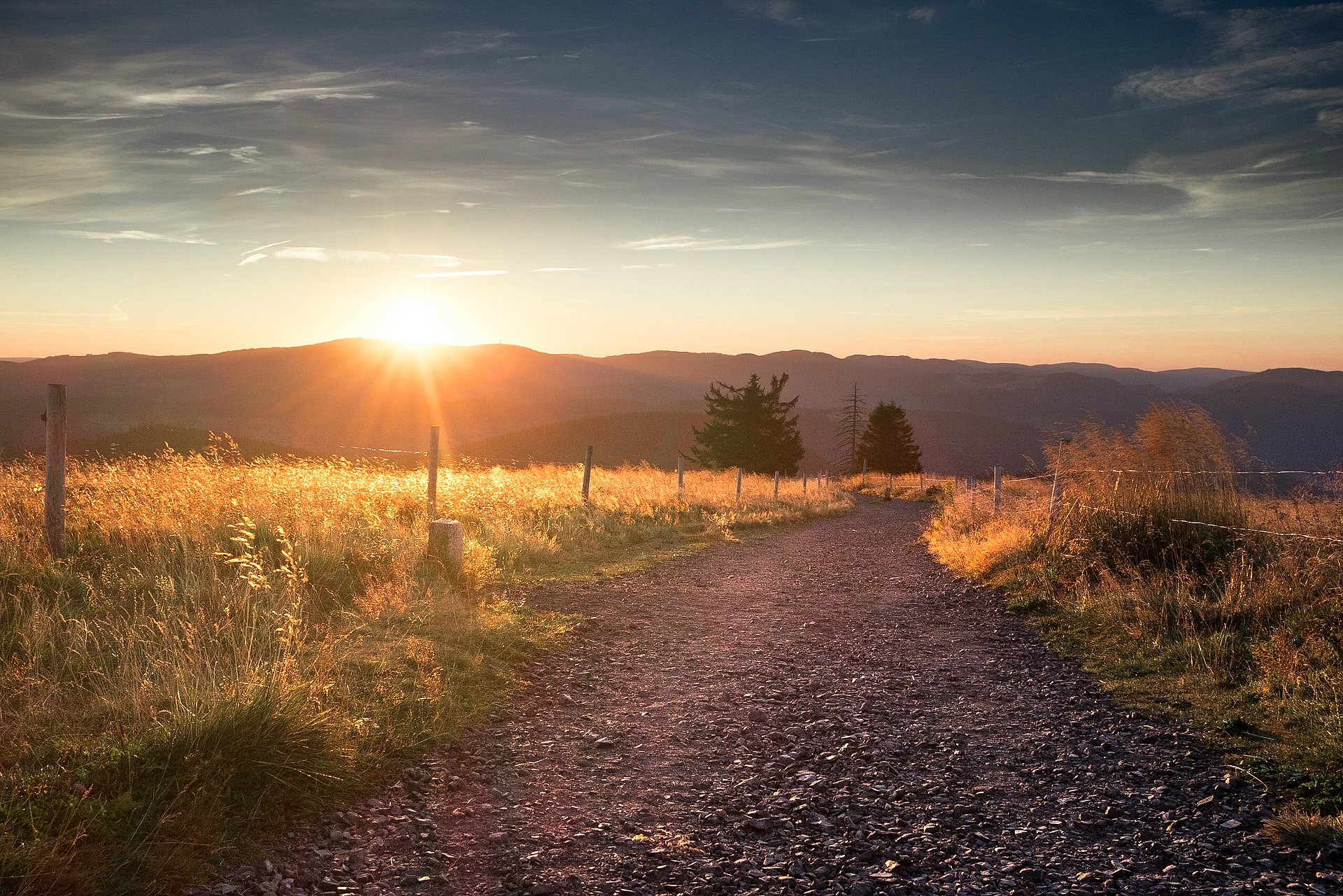 Weg und Wiese bei Sonnenuntergang beim FSJ in Deutschland