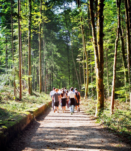 Wanderung beim FSJ in Rheinland-Pfalz