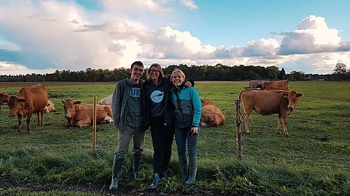 Freiwillige stehen vor einer Wiese mit Kühen bei ihrem FSJ
