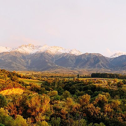 Berge und Wald beim FSJ in Kasachstan.