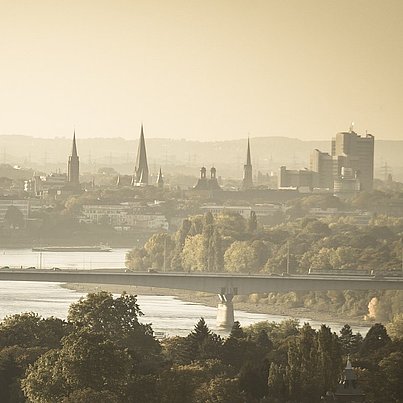 Stadt, Fluss und Brücke beim FSJ in Bonn