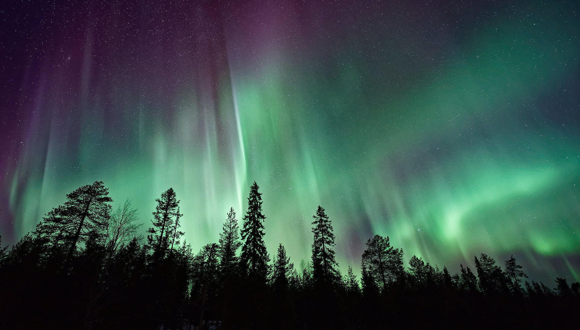 Polarlichter beim FSJ in Norwegen.
