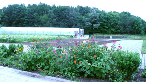 Garten und Wintergarten beim FSJ in Gelsenkirchen