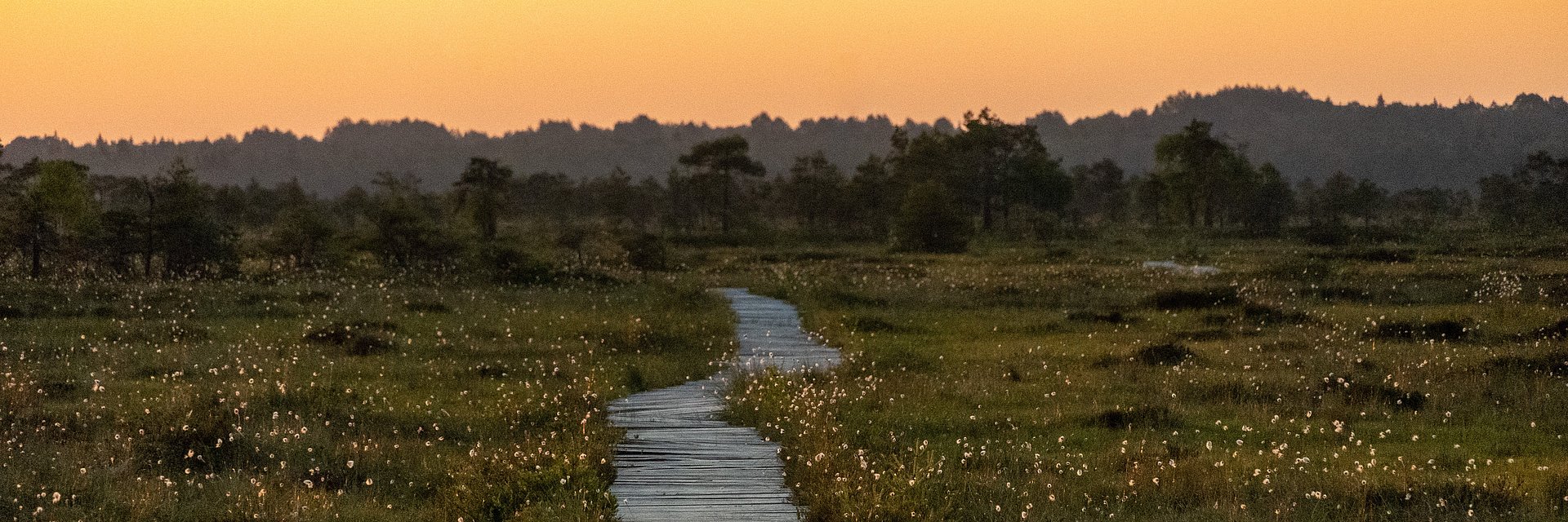 Weg durch Wiese bei Sonnenuntergang im FSJ Estland