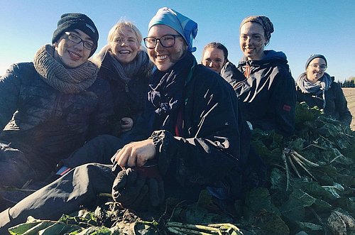 Gruppenfoto von Freiwilligen beim FSJ Estland