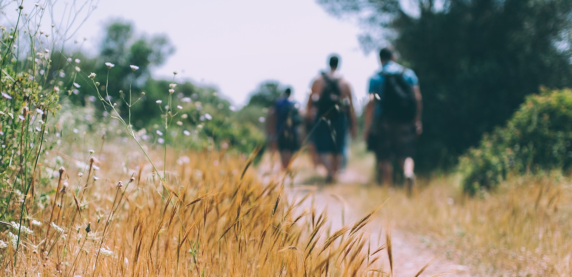 Menschen wandern bei ihrem FSJ
