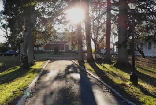 Weg zwischen Bäumen bei Sonnenschein beim FSJ in Schweden