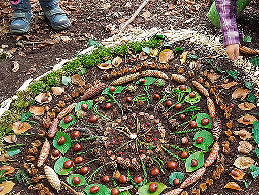 Mosaik aus Kastanien, Blättern und Stöcken im Wald beim FSJ in Bonn