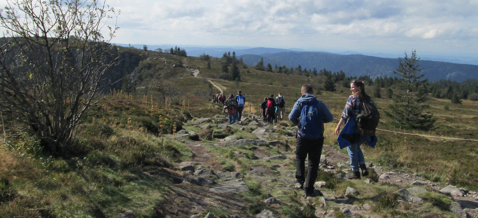 Wandern beim FSJ in Brandenburg