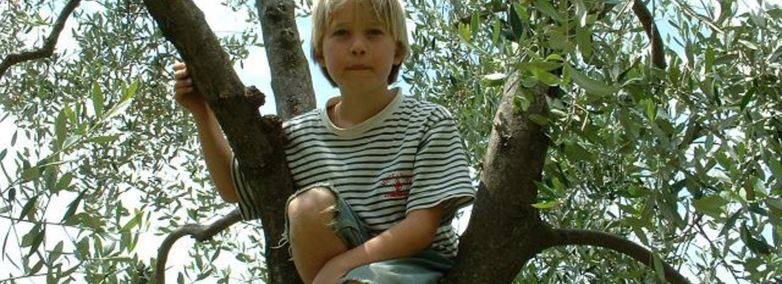 Im Baum