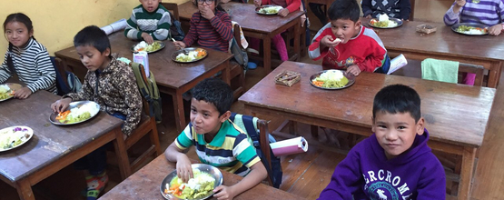Kathmandu - Tashi Waldorf School