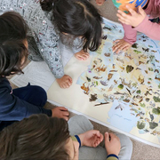 Waldorf Irán Varios niños miran un mapa