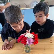 Pedagogia de emergencia tras el terremoto de Turquía Centro de Protección Infantil de Turquía